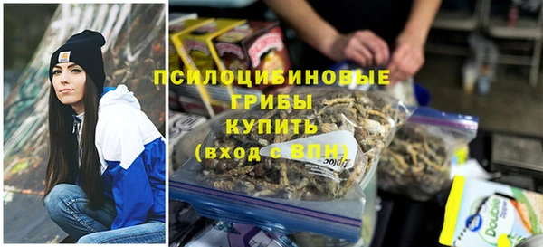 хмурый Алзамай