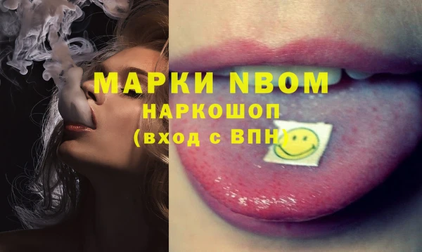 хмурый Алзамай