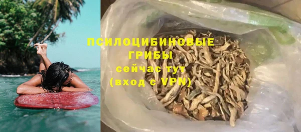 хмурый Алзамай
