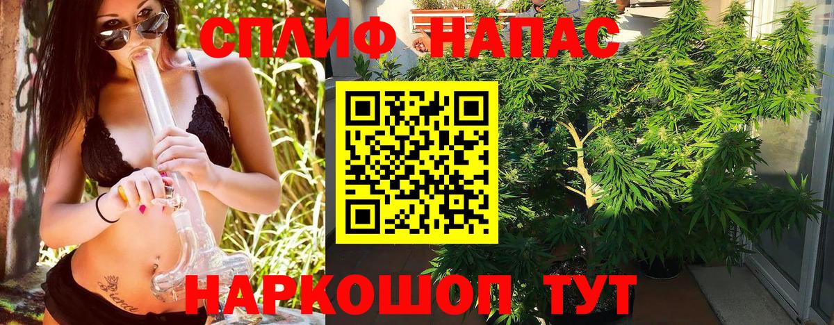 Канабис THC 21%  Конопля конопля  Вход с VPN  Курск  Бошки Шишки конопля 